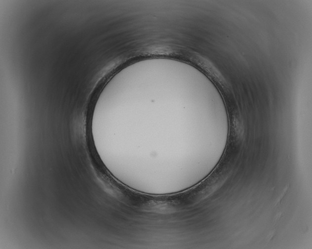 X0000112150534200908211416