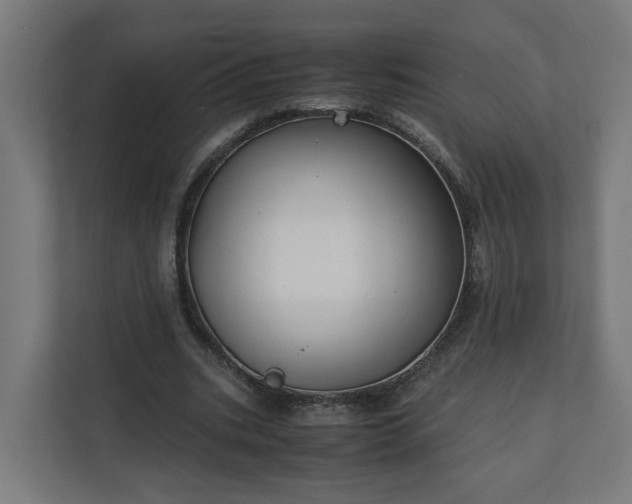X0000112150535200908211416