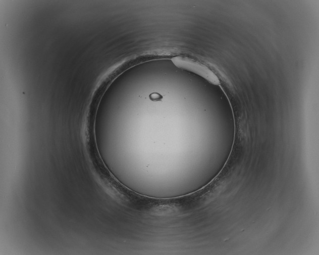 X0000112150536200908211416