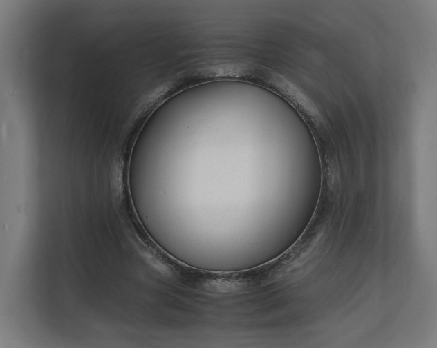 X0000112150537200908211416