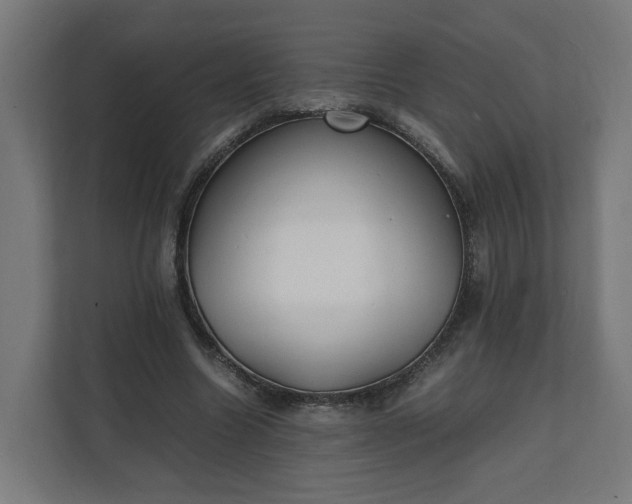 X0000112150538200908211416
