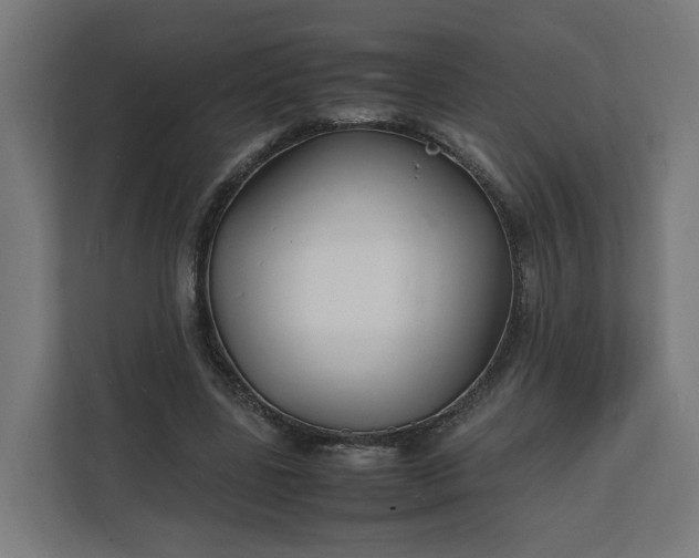 X0000112150539200908211416