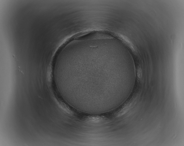 X0000112150540200908211416