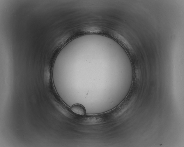 X0000112150541200908211416