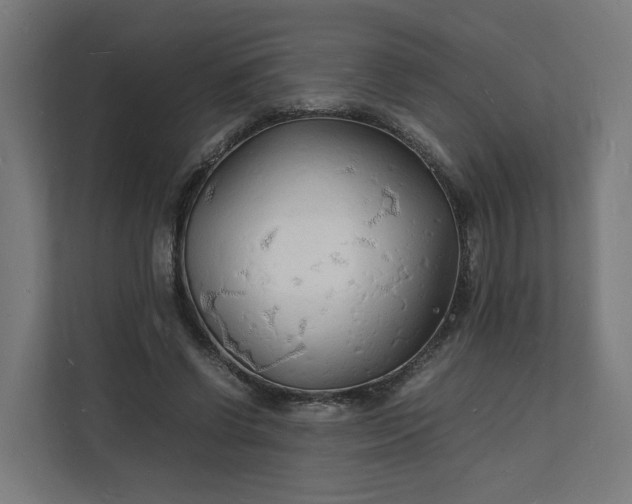 X0000112150542200908211416