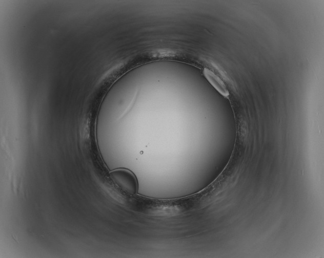 X0000112150543200908211416