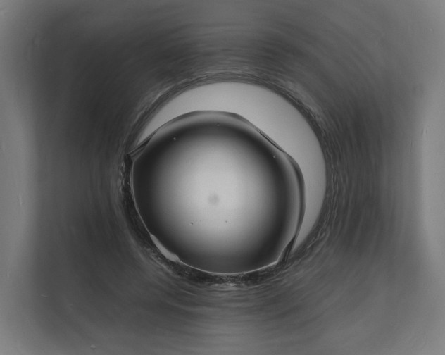 X0000112150544200908211416