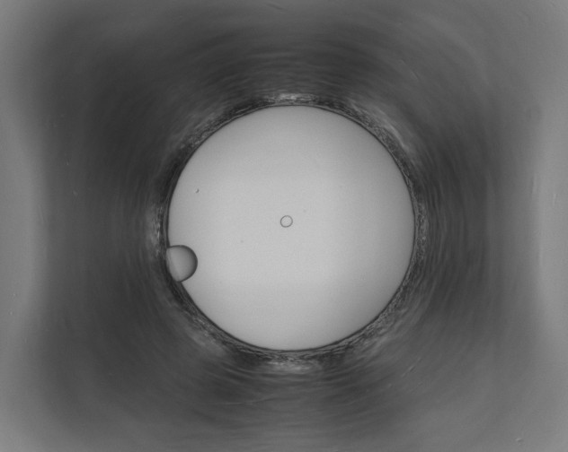 X0000112150545200908211416