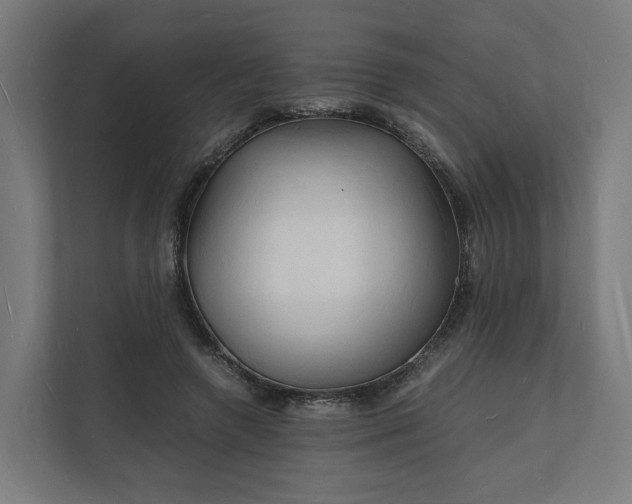 X0000112150546200908211416