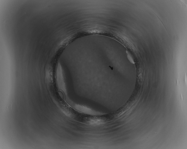X0000112150547200908211416