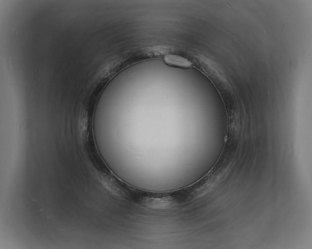 X0000112150548200908211416