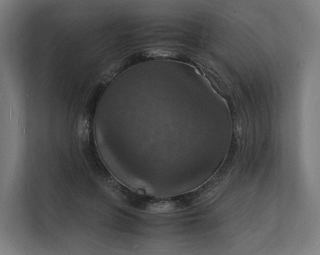 X0000112150551200908211416
