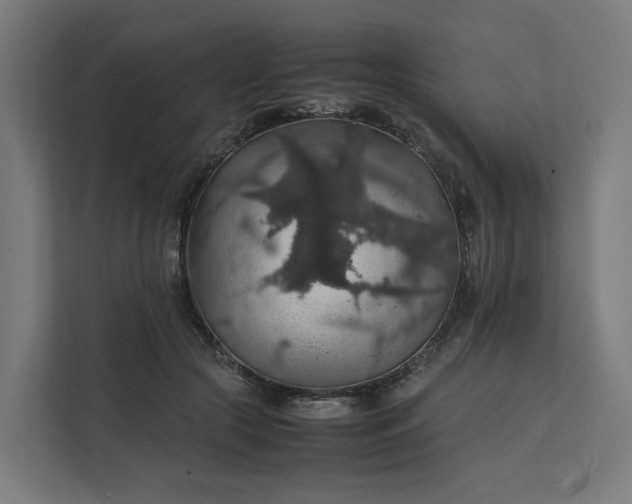 X0000112150553200908211416