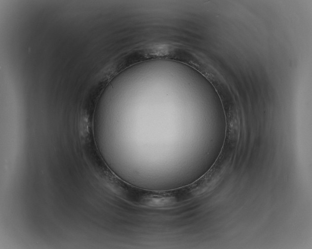 X0000112150555200908211416