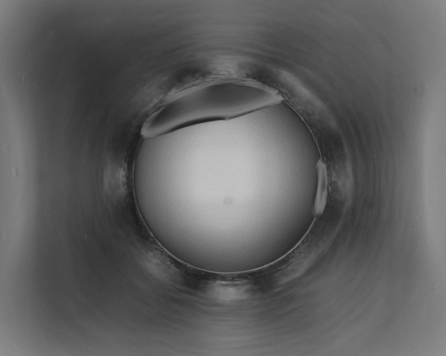 X0000112150556200908211416