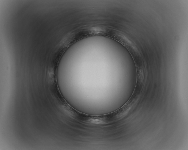 X0000112150557200908211416
