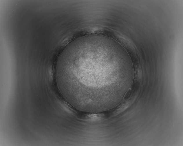 X0000112150558200908211416