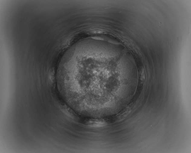 X0000112150559200908211416