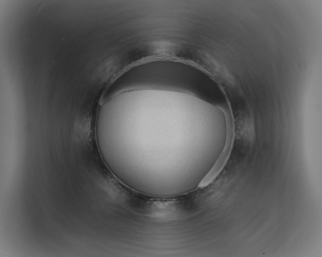 X0000112150560200908211416