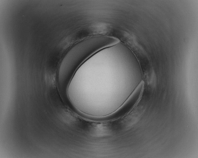 X0000112150564200908211416