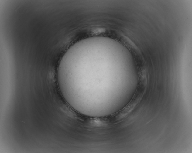 X0000112150565200908211416