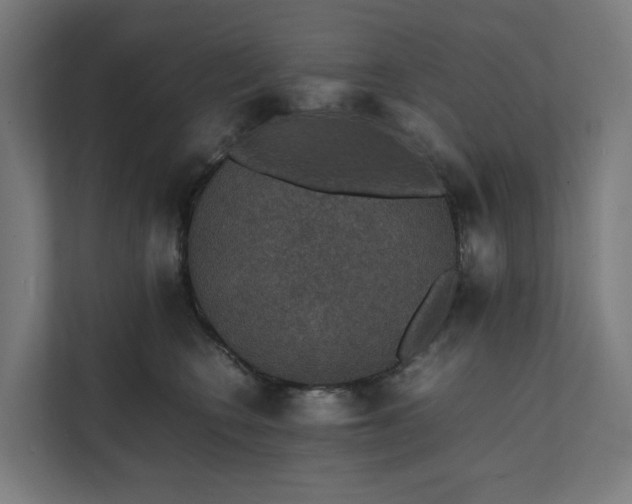 X0000112150566200908211416
