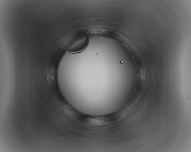 X0000112150567200908211416