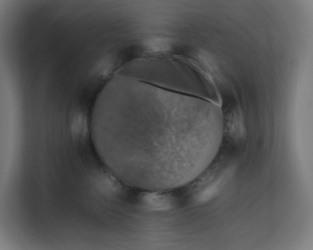 X0000112150568200908211416