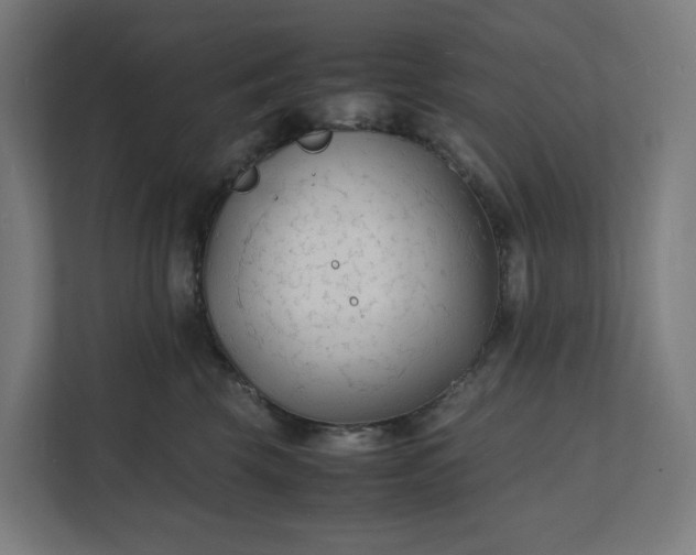 X0000112150569200908211416
