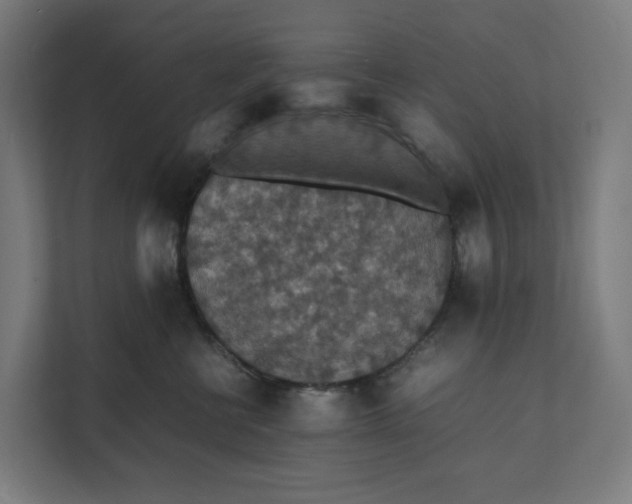 X0000112150570200908211416
