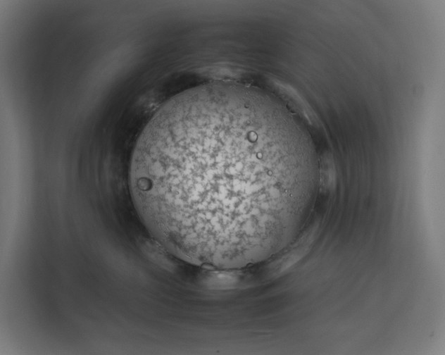 X0000112150573200908211416