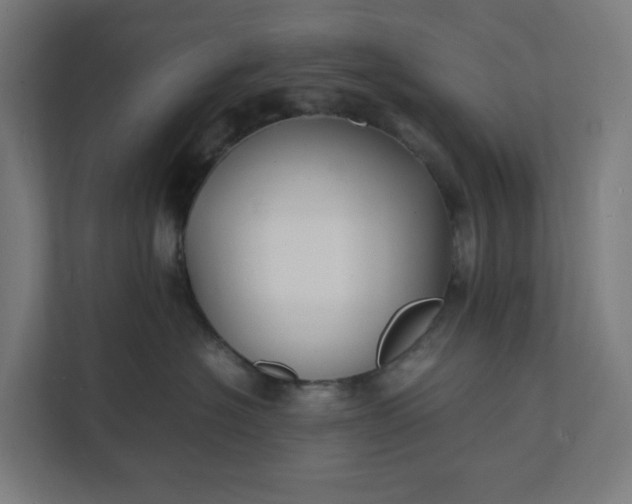 X0000112150574200908211416