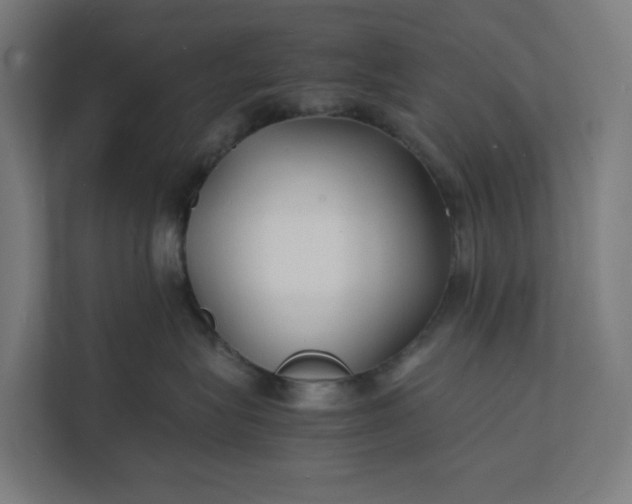 X0000112150575200908211416