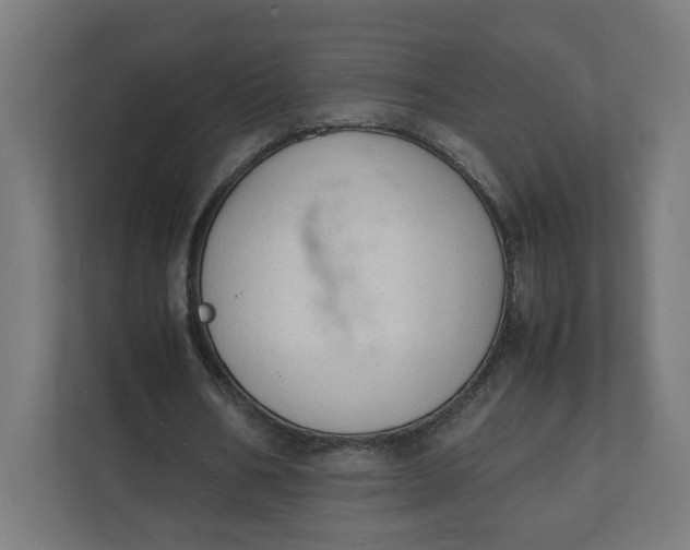 X0000112150578200908211416