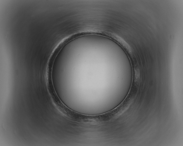 X0000112150580200908211416
