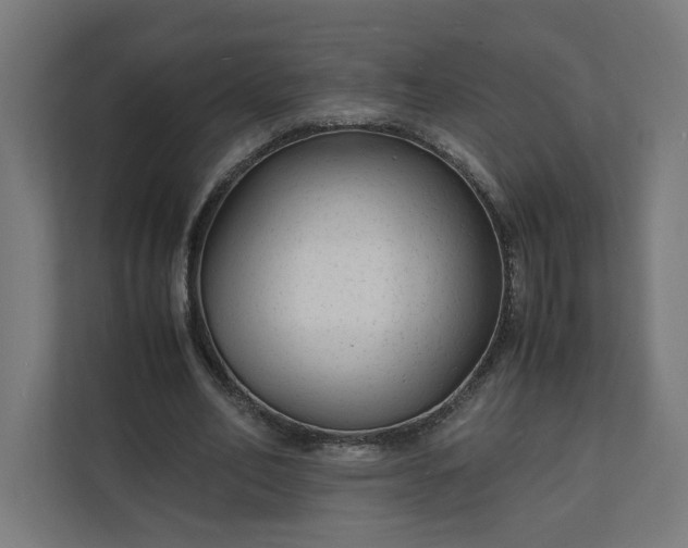 X0000112150582200908211416