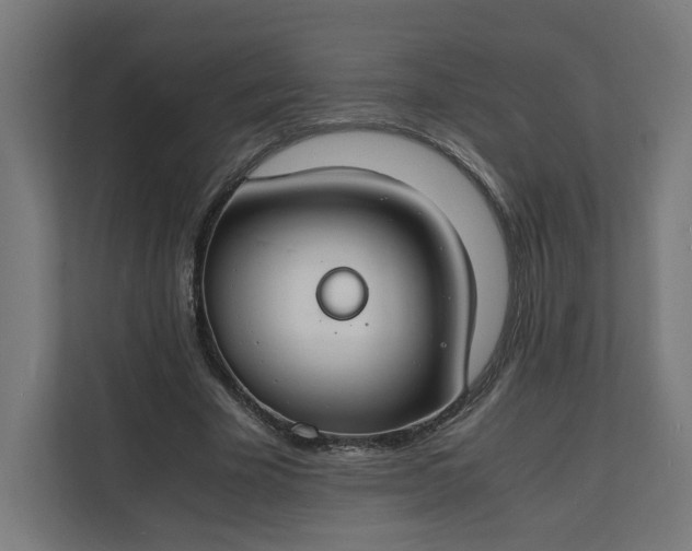 X0000112150585200908211416