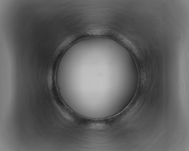 X0000112150586200908211416