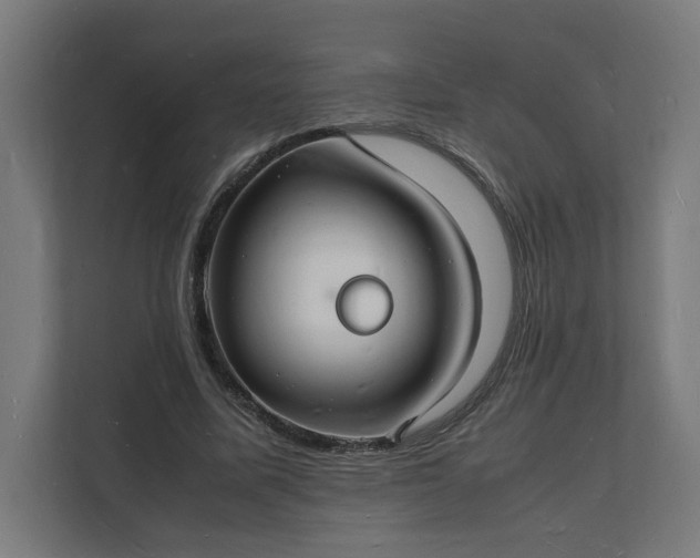 X0000112150587200908211416