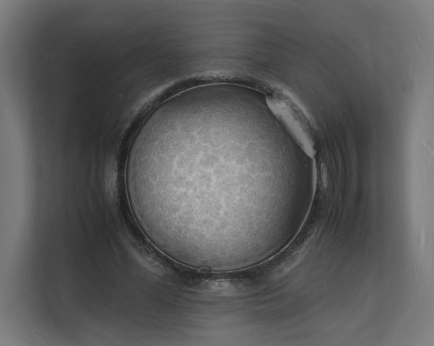 X0000112150588200908211416