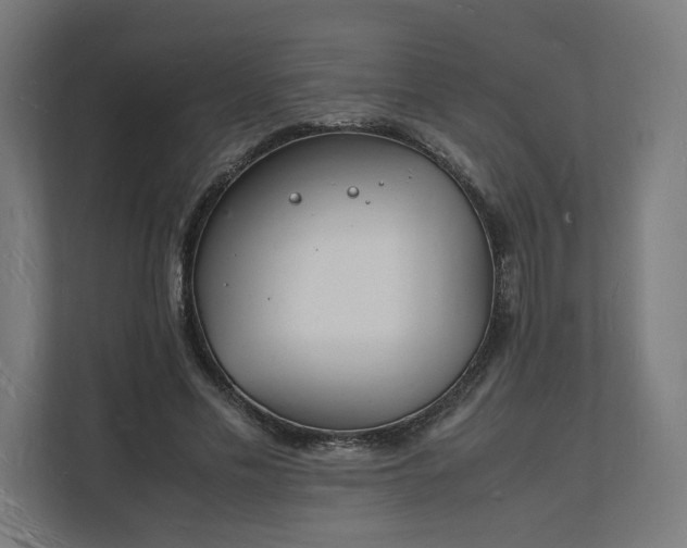 X0000112150589200908211416