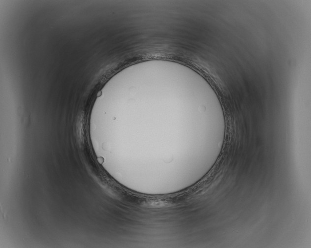 X0000112150590200908211416