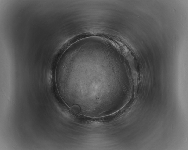 X0000112150592200908211416