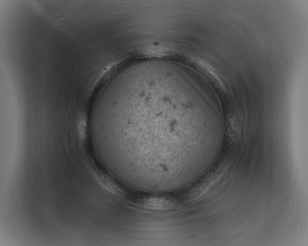 X0000112150596200908211416