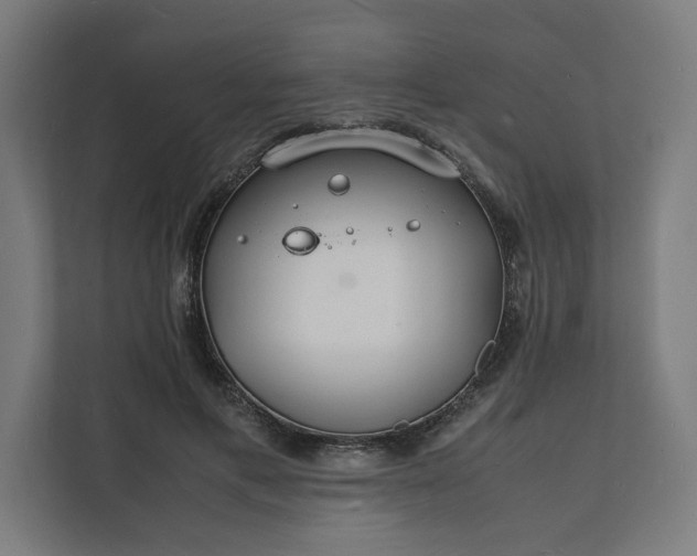 X0000112150597200908211416