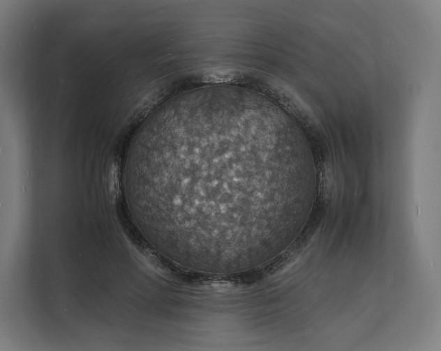 X0000112150598200908211416