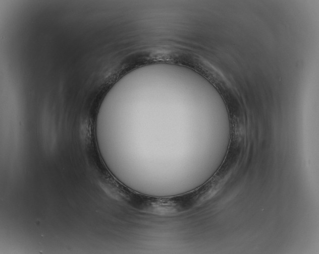 X0000112150603200908211415