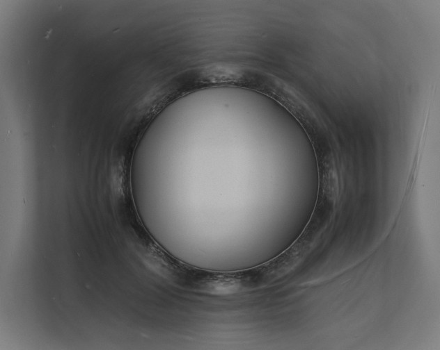 X0000112150604200908211415