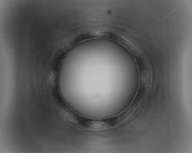 X0000112150605200908211415
