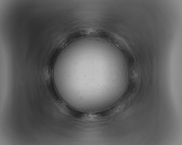 X0000112150607200908211415